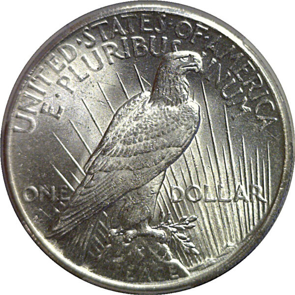 1924-S Peace Dollar   PCGS MS-64 - Image 3