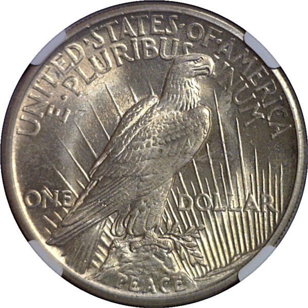 1921 Peace Dollar   NGC MS-64 - Image 3