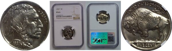 1937 Buffalo Nickel   NGC PR-65