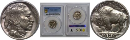 1916-D Buffalo Nickel   PCGS MS-65+