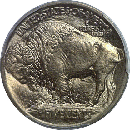 1913 T-1 Buffalo Nickel   PCGS MS-66+  CAC - Image 3