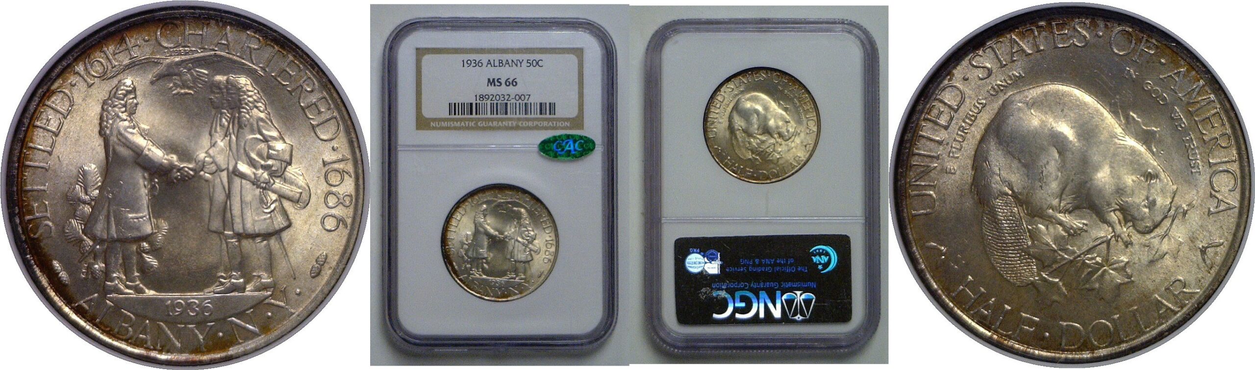 1936  Albany Commemorative Half Dollar   NGC MS-66  CAC
