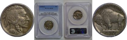 1919-S Buffalo Nickel   PCGS XF-45