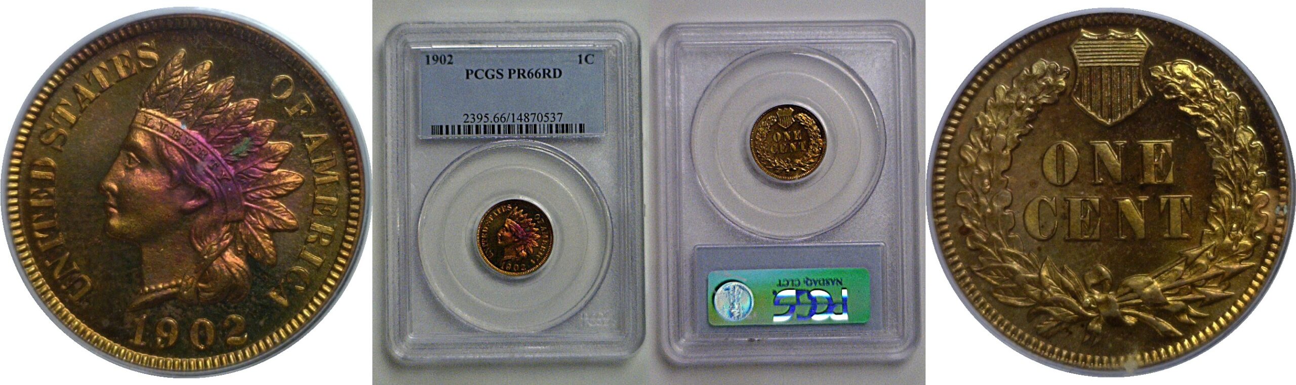 1902 Indian Head Cent   PCGS PR-66 RD