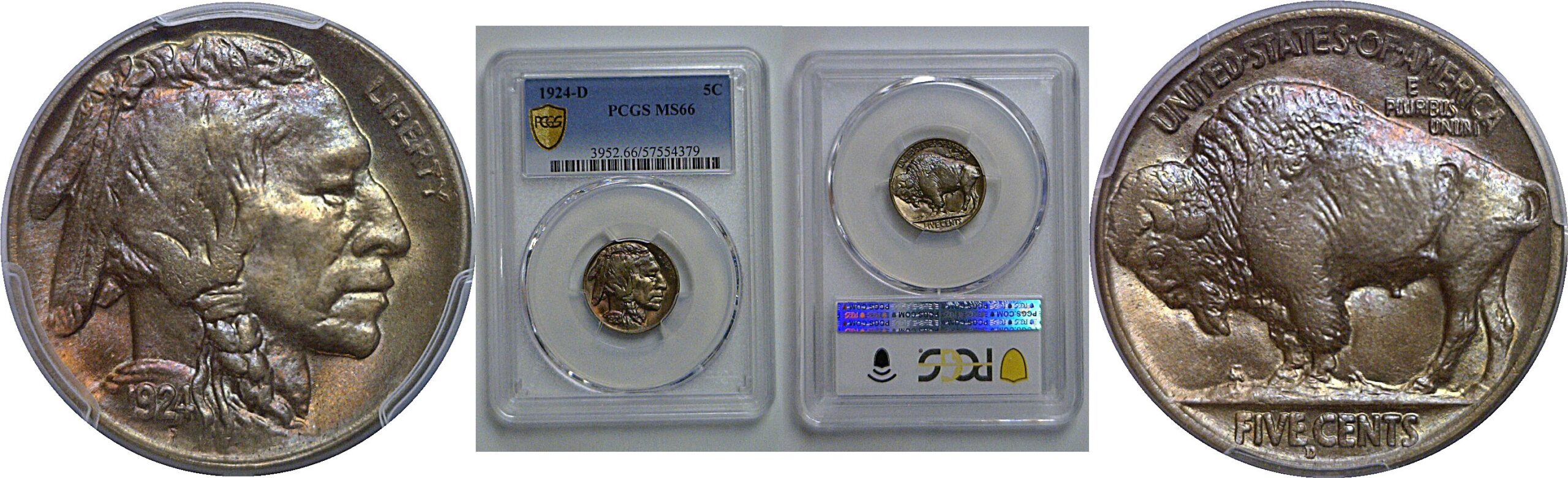 1924-D Buffalo Nickel   PCGS MS-66