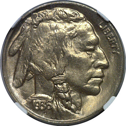 1936-D  Buffalo Nickel   NGC MS-67 - Image 2