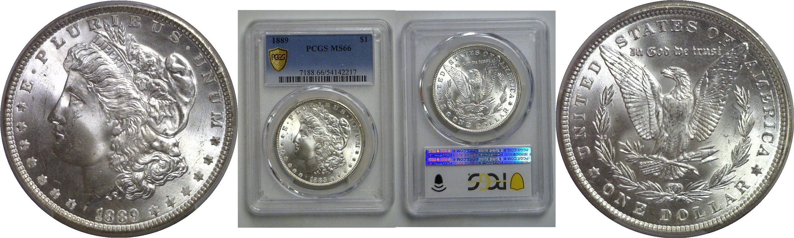 1889 Morgan Dollar    PCGS MS-66