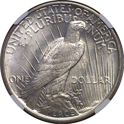 1922-D  Peace Dollar    NGC MS-66 - Image 3
