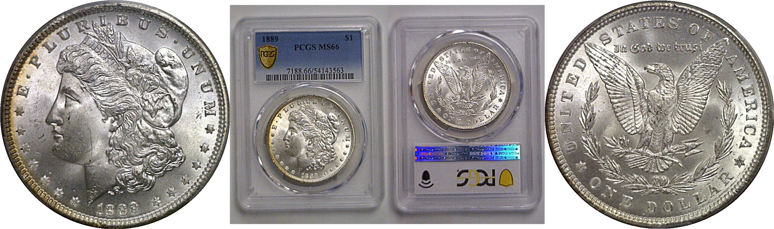 1889 Morgan Dollar   PCGS MS-66