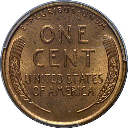 1955 Doubled Die Obverse  Lincoln Cent   PCGS MS-64+ RD - Image 3
