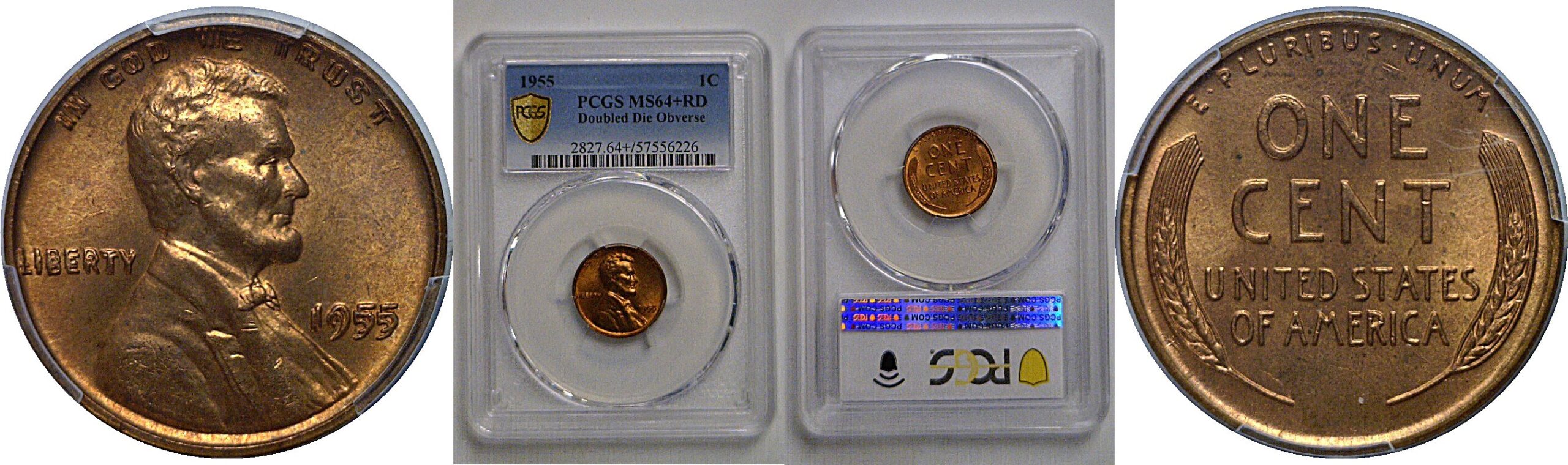 1955 Doubled Die Obverse  Lincoln Cent   PCGS MS-64+ RD