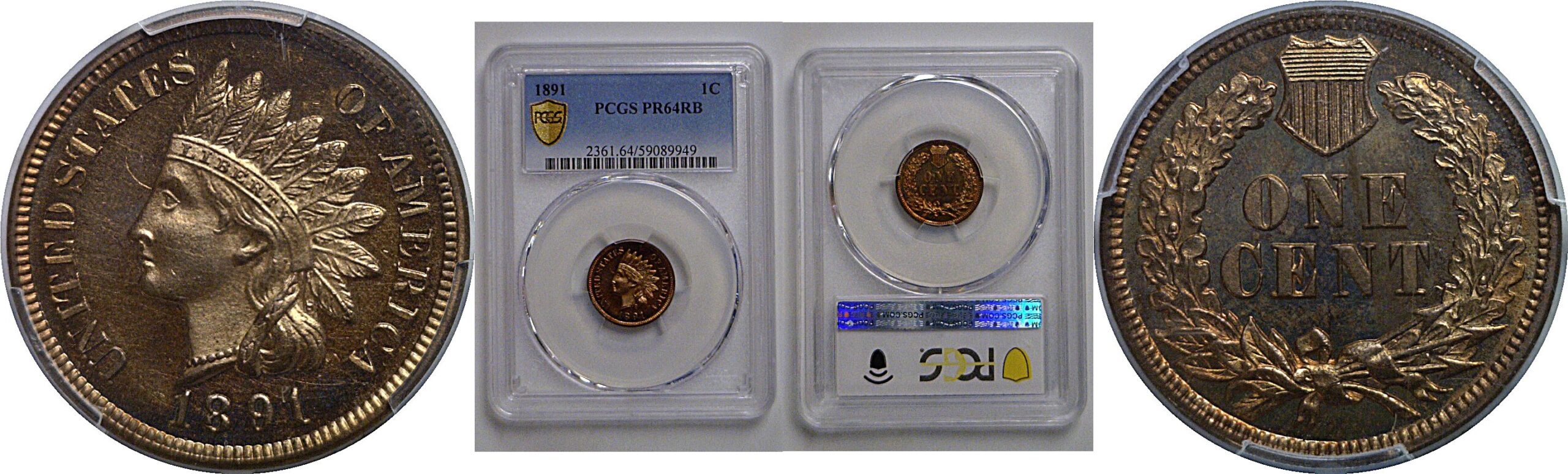 1891 Indian Head Cent   PCGS PR-64 RB