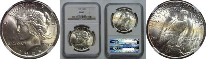 1928-S Peace Dollar   NGC MS-63