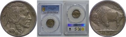 1937-D 3 Legs   Buffalo Nickel   PCGS AU-50
