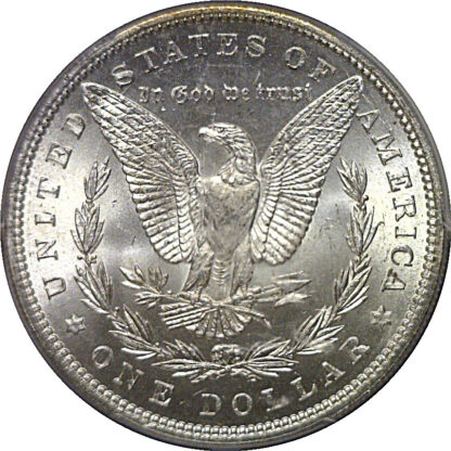 1884 Morgan Dollar   PCGS MS-65 - Image 3