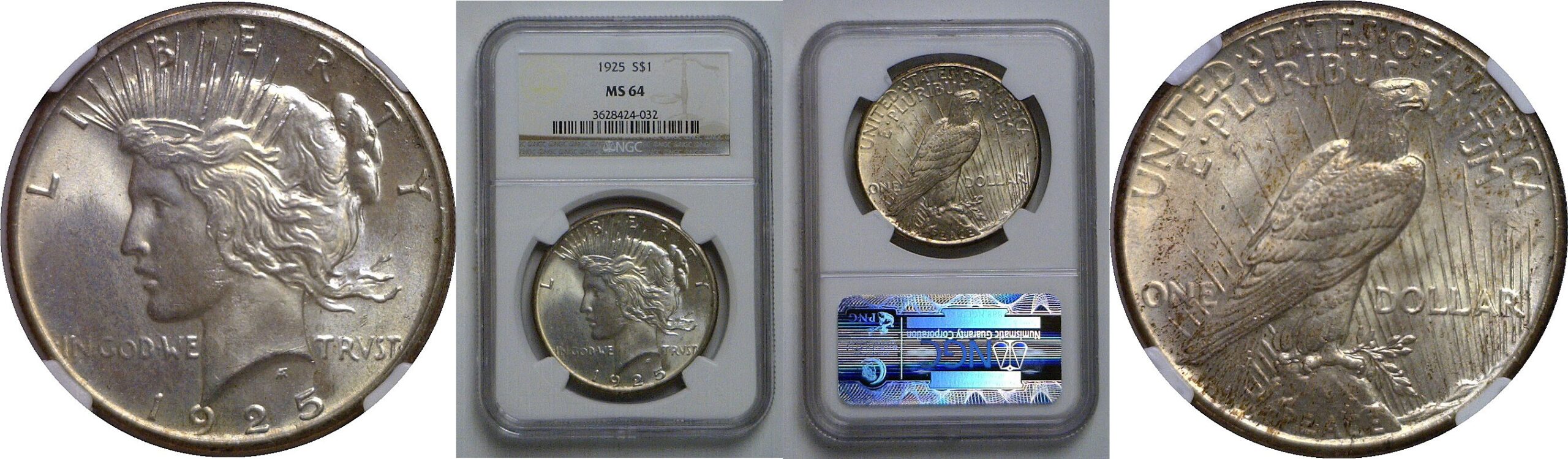 1925 Peace Dollar   NGC MS-64