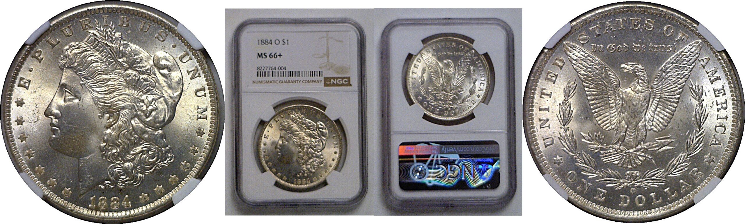 1884-O Morgan Dollar   NGC MS-66+