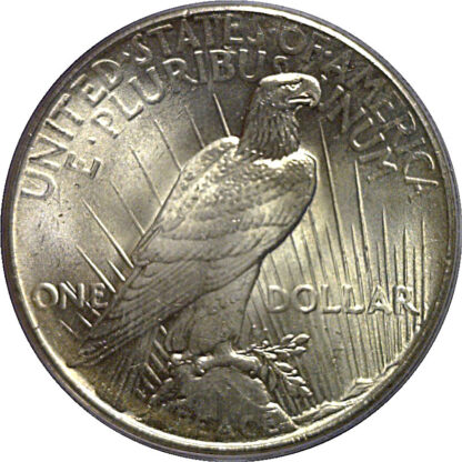 1925 Peace Dollar   PCGS MS-65 - Image 3