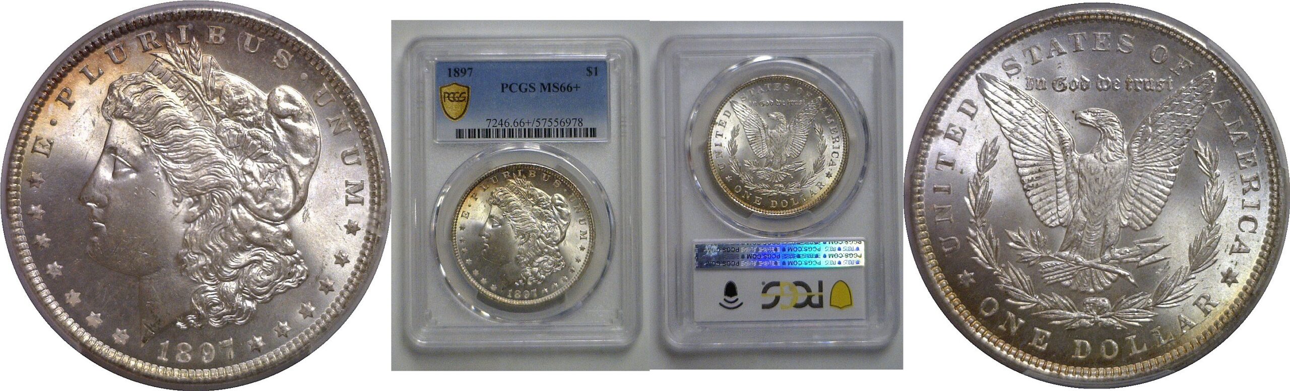 1897 Morgan Dollar   PCGS MS-66+