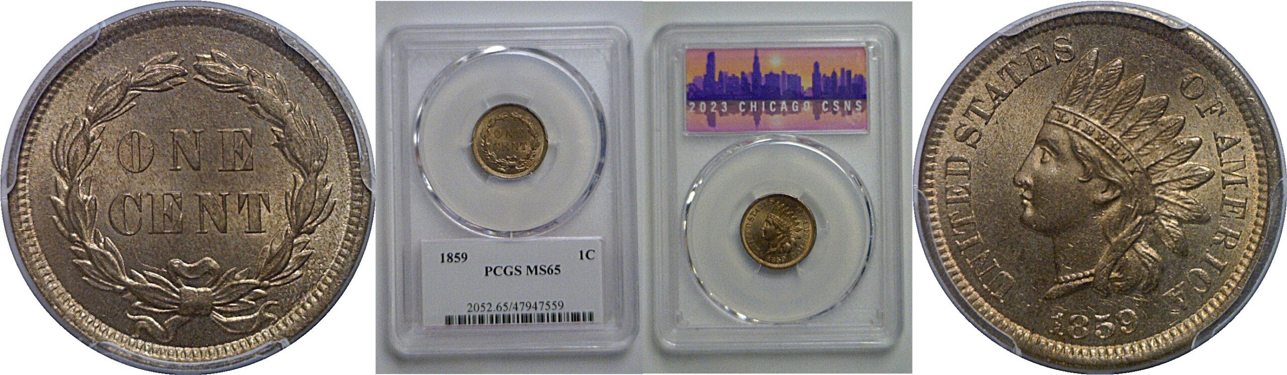1859 Indian Head Cent    PCGS MS-65