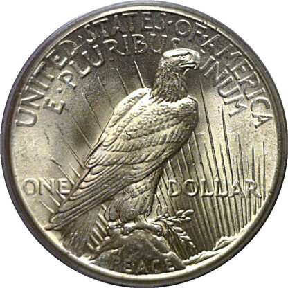 1925 Peace Dollar   PCGS MS-63 - Image 3