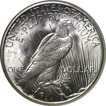 1923-S Peace Dollar   NGC MS-64 - Image 3