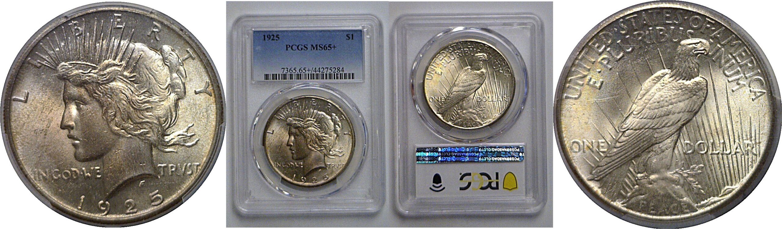 1925 Peace Dollar   PCGS MS-65+