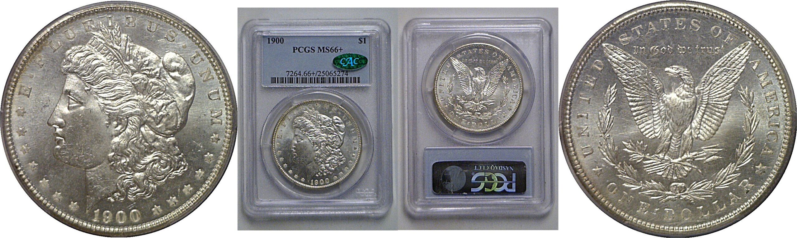 1900 Morgan Dollar   PCGS MS-66+  CAC