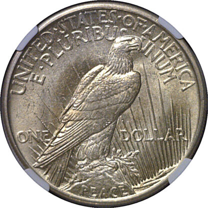1921 Peace Dollar   NGC MS-63 - Image 3