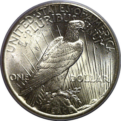 1925 Peace Dollar   PCGS MS-66  CAC - Image 3
