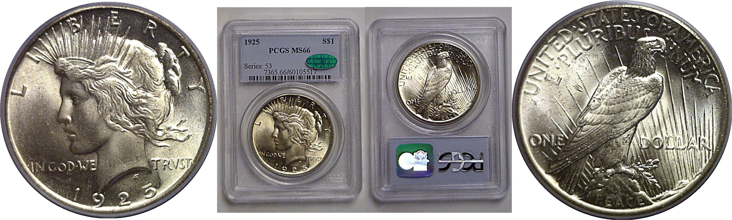 1925 Peace Dollar   PCGS MS-66  CAC