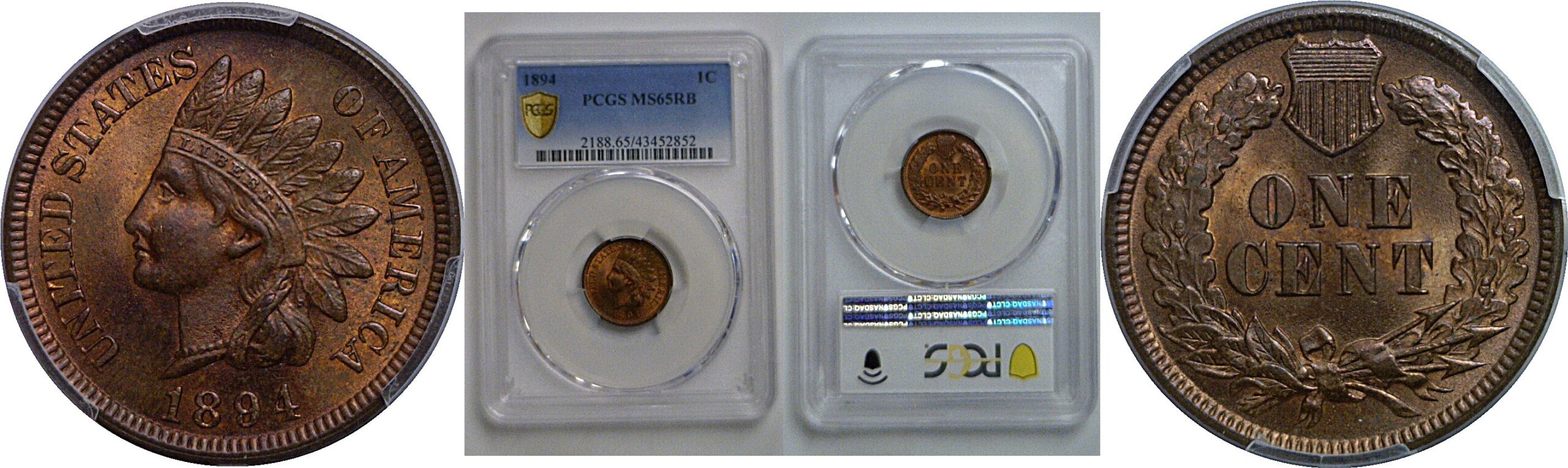 1894 Indian Head Cent    PCGS MS-65 RB