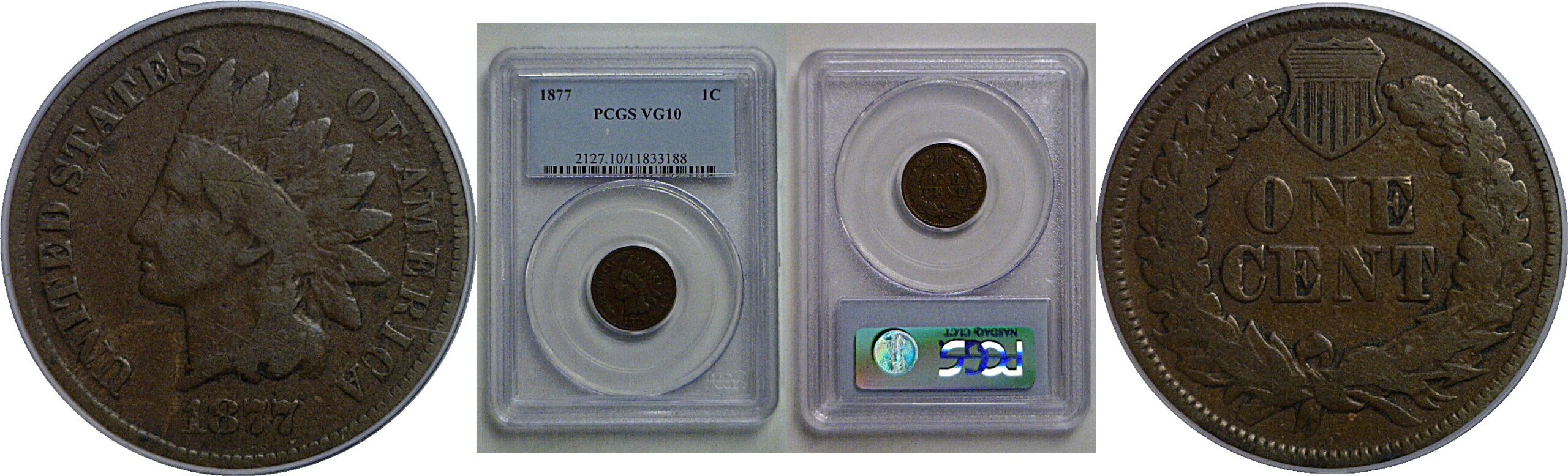 1877 Indian Head Cent   PCGS VG-10