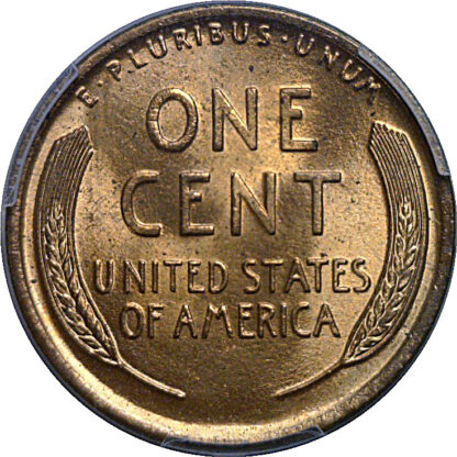 1917 Lincoln Cent     PCGS MS-66 RD - Image 3
