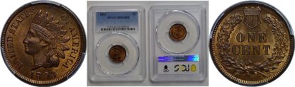1893 Indian Head Cent   PCGS MS-64 RB