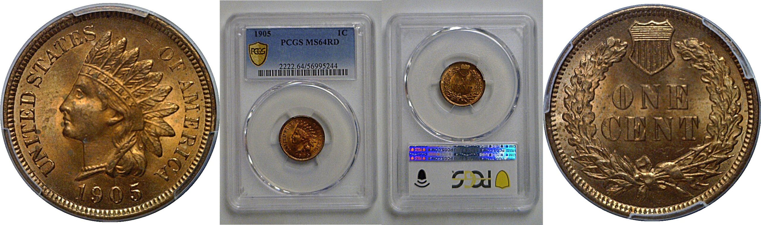 1905 Indian Head Cent    PCGS MS-64 RD