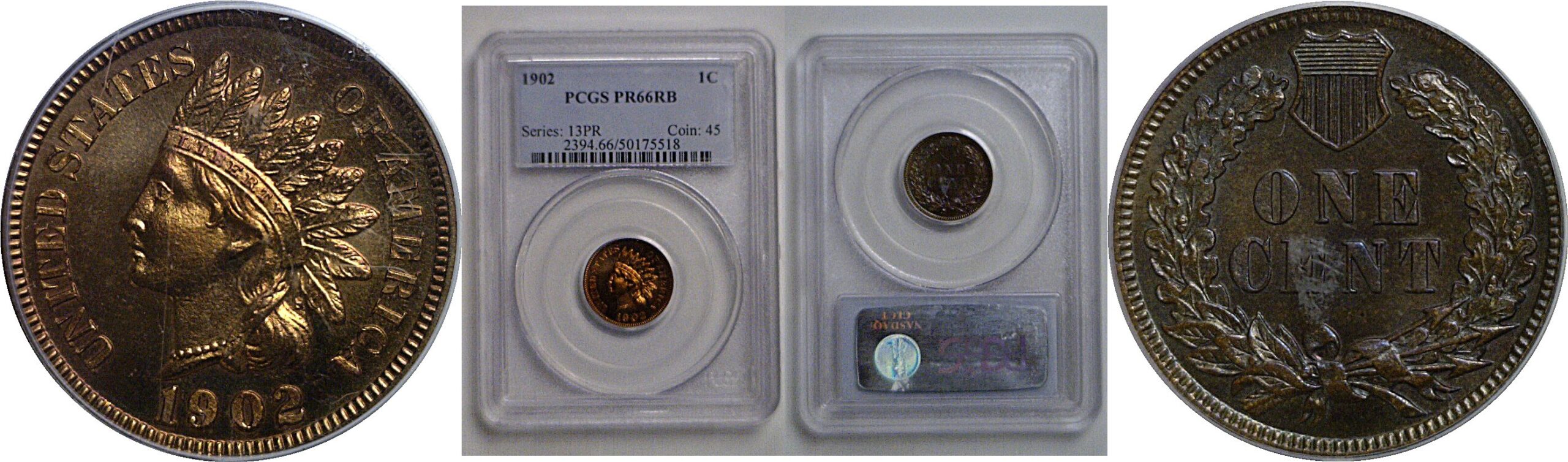1902 Indian Head Cent   PCGS PR-66 RB
