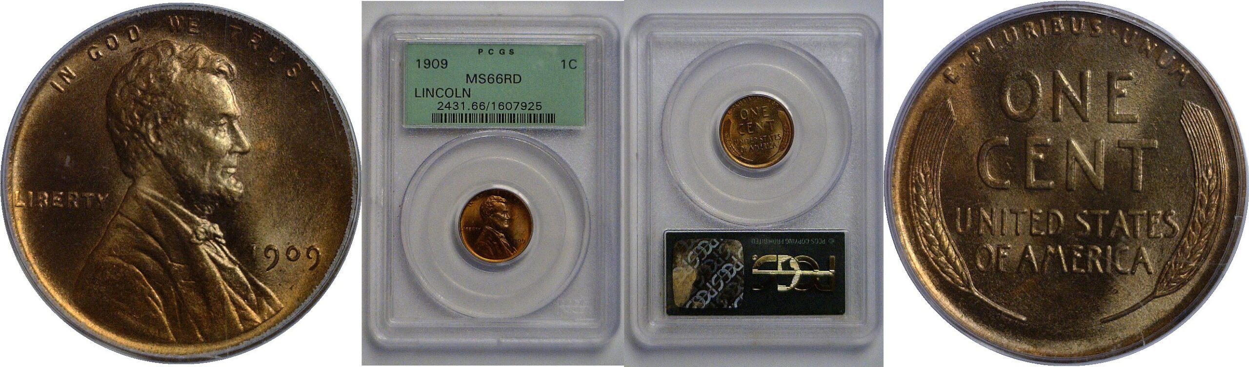 1909 Lincoln Cent   PCGS MS-66 RD