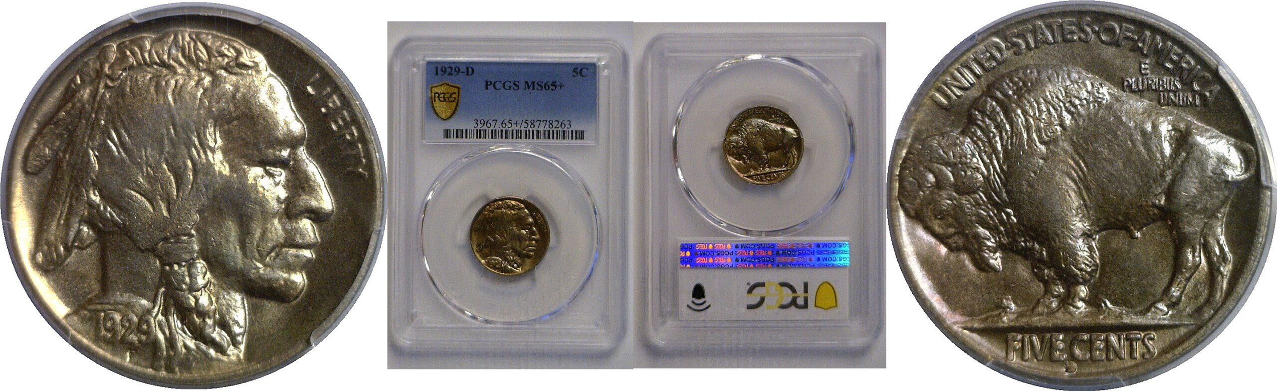 1929-D Buffalo Nickel   PCGS MS-65+