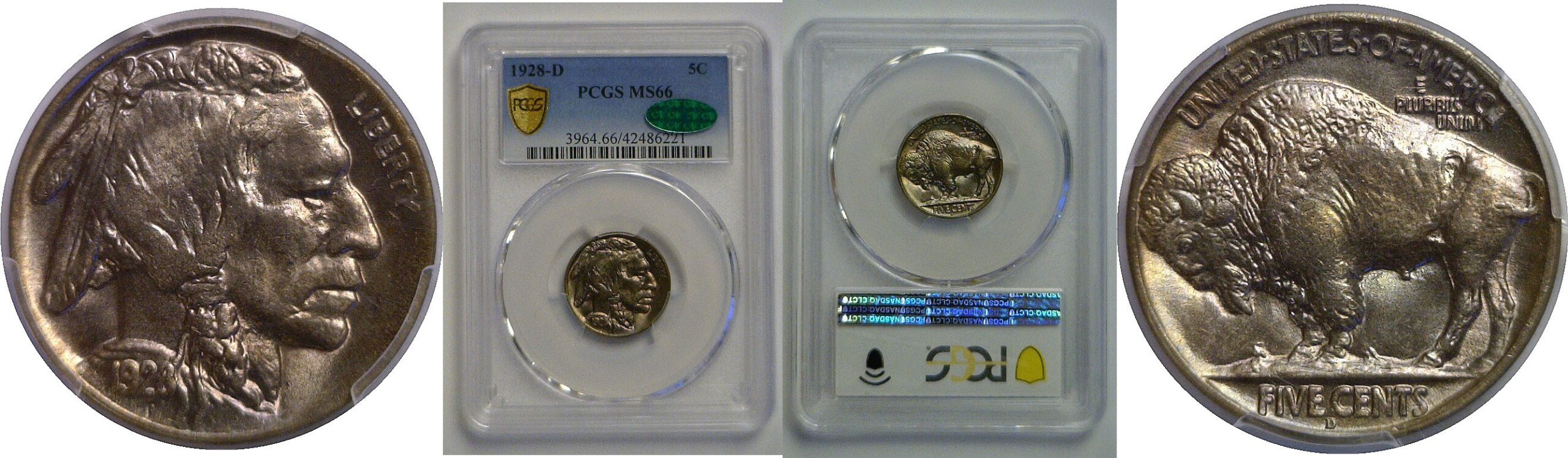 1828-D Buffalo Nickel   PCGS MS-66  CAC