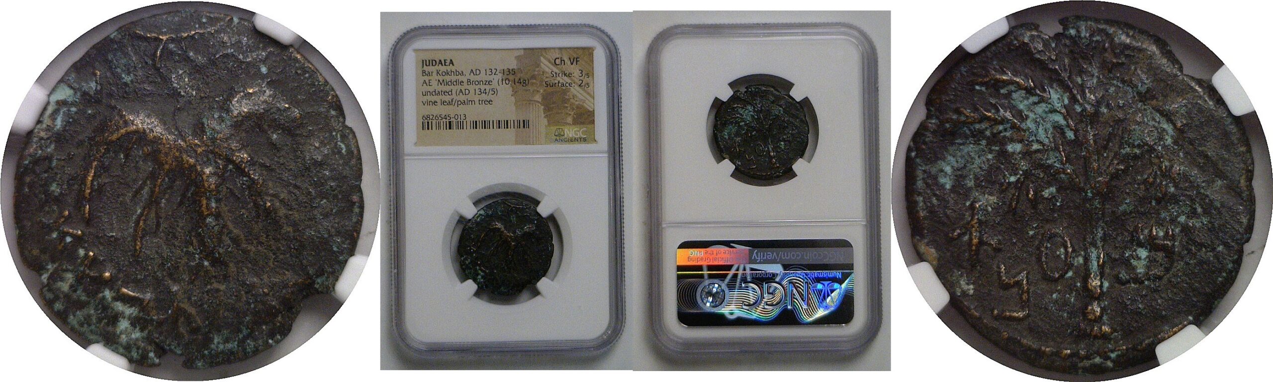 132-135 AD GREEK Judaea Middle Bronze NGC  CH VF Bar Kokhba