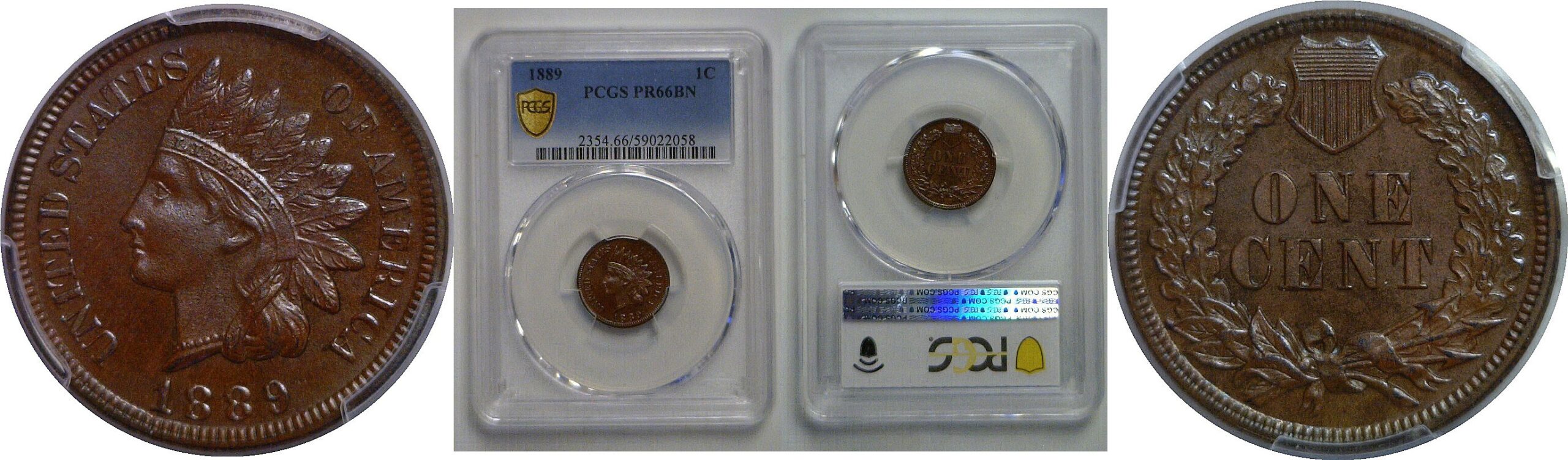 1889 Indian Head Cent    PCGS PR-66 BN