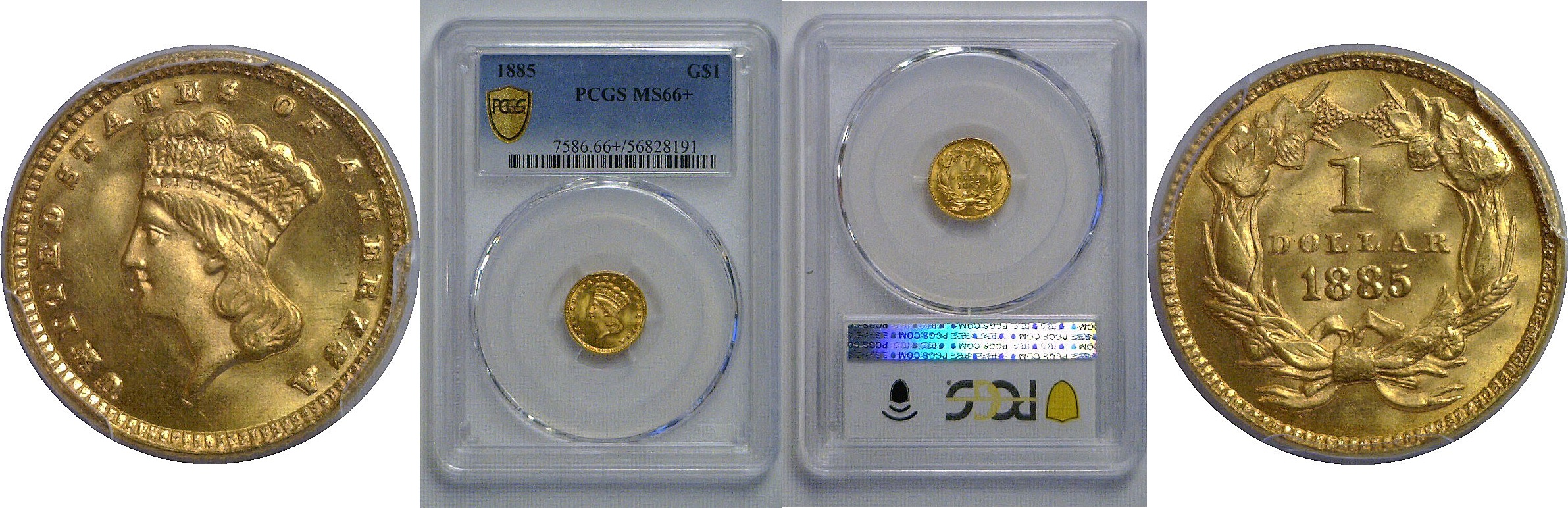 1885 One Dollar Gold Coin   PCGS MS-66+