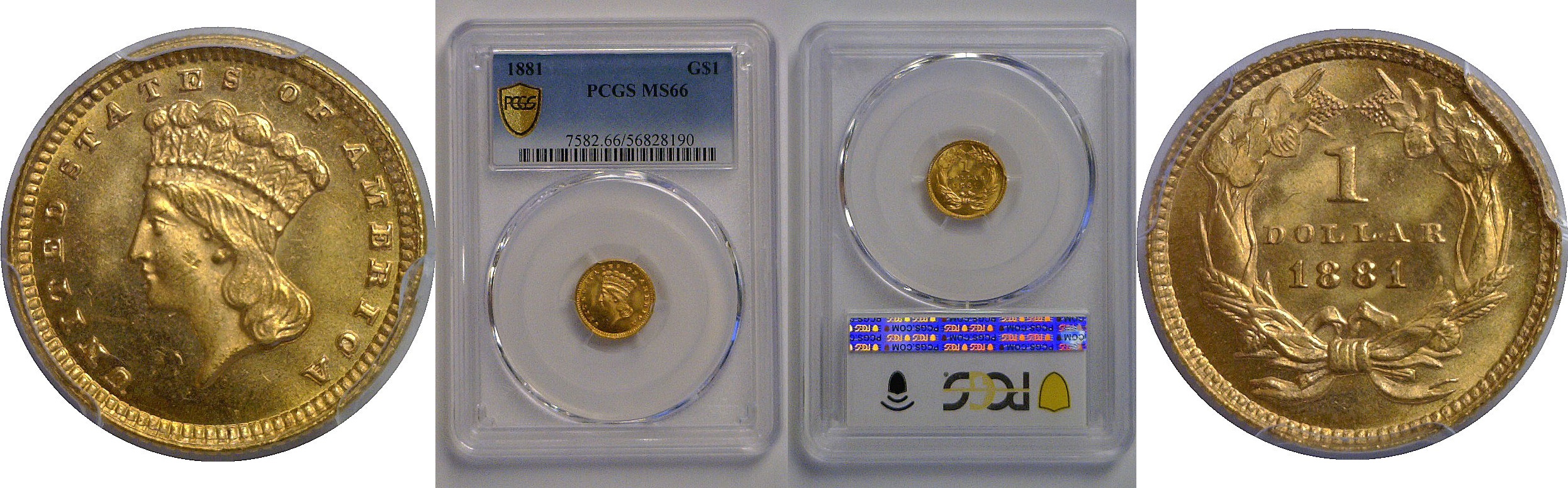 1881 One Dollar Gold Coin   PCGS MS-66