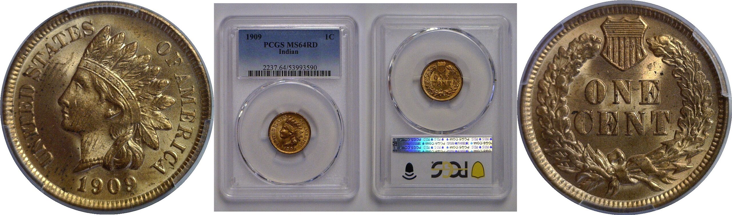 1909 Indian Head Cent   PCGS MS-64 RD