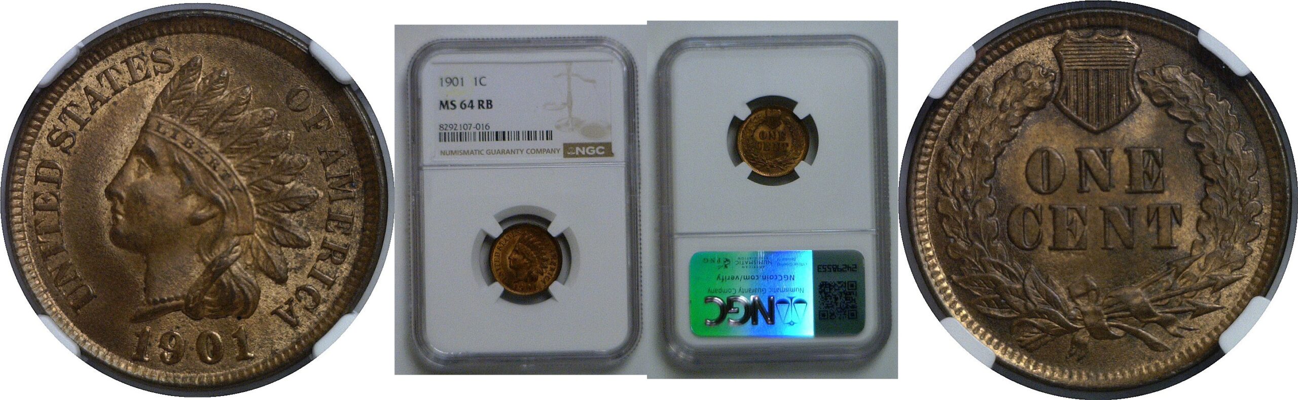 1901 Indian Head Cent   NGC MS-64 RB