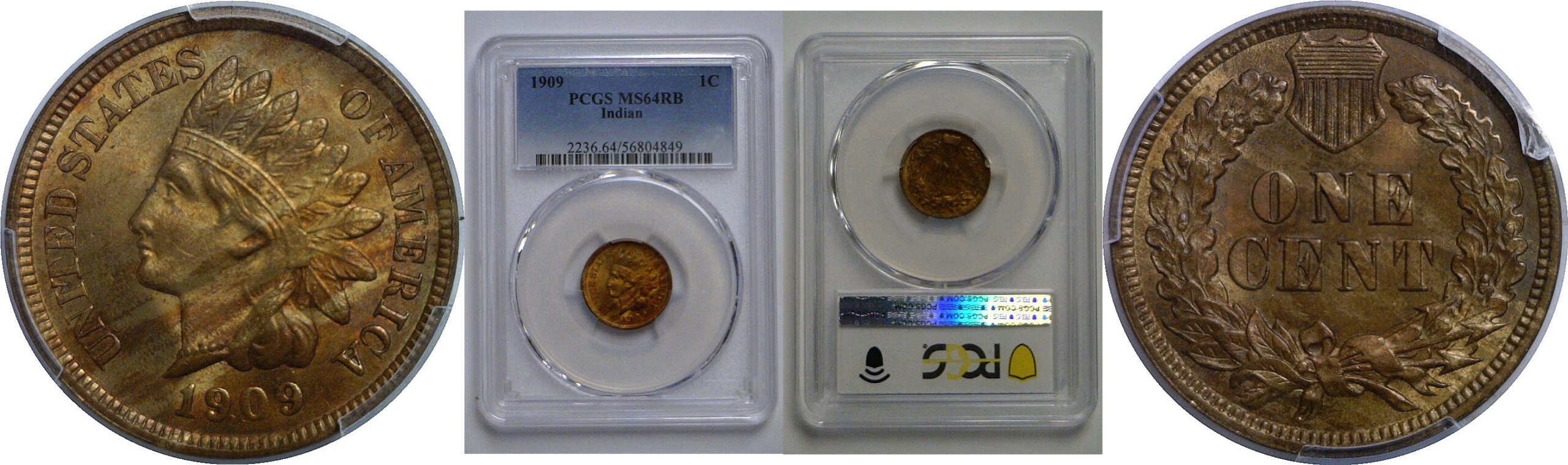 1909 Indian Head Cent   PCGS MS-64 RB