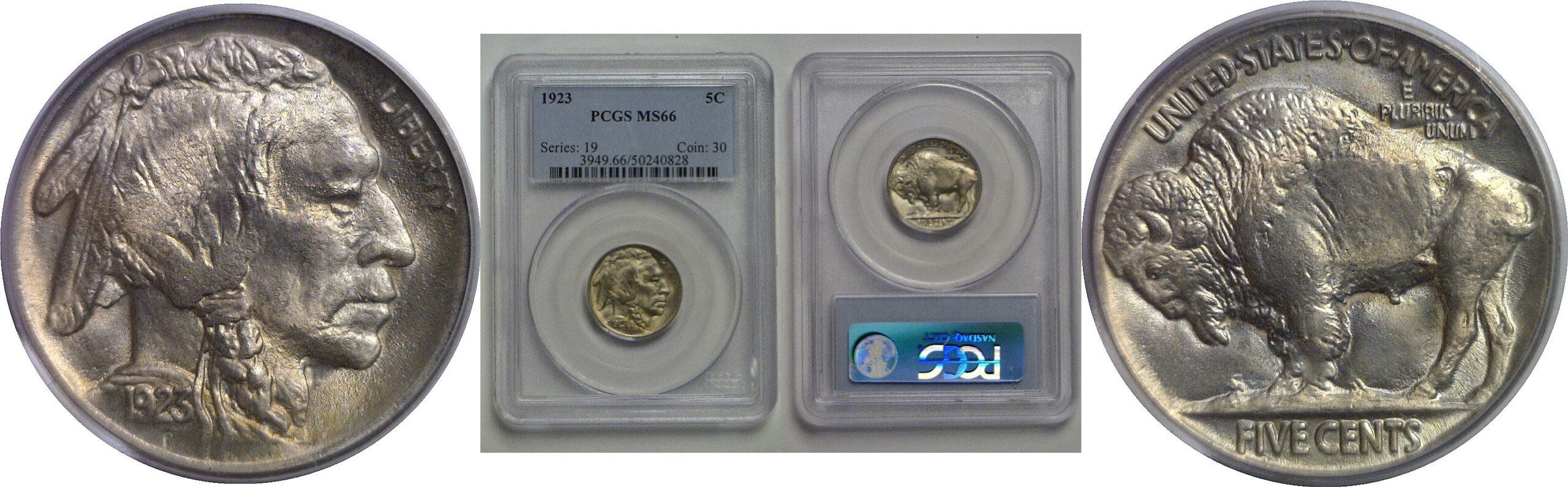 1923 Buffalo Nickel   PCGS MS-66