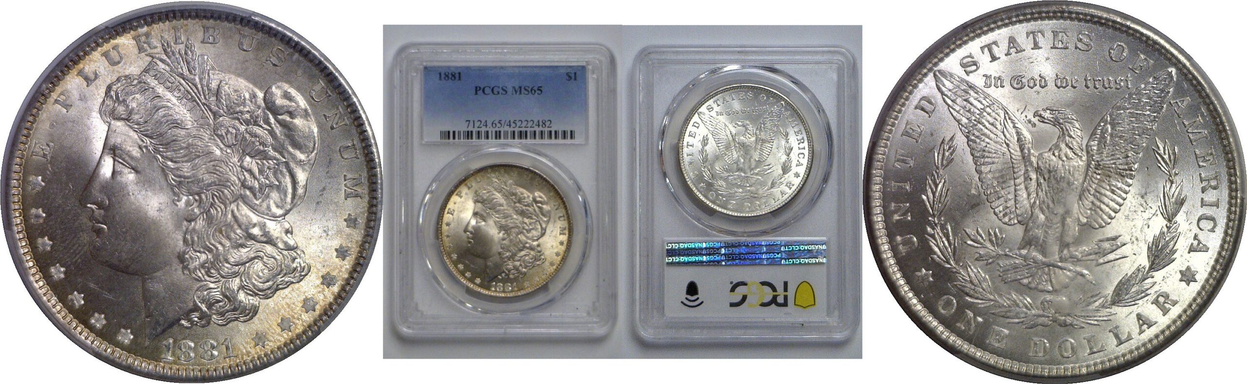 1881 Morgan Dollar   PCGS MS-65