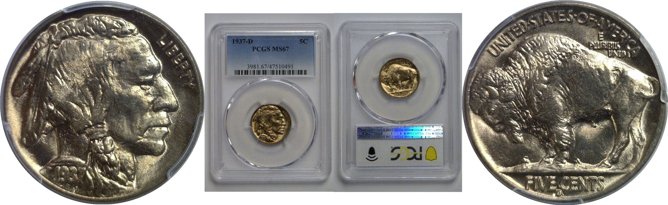1937-D Buffalo Nickel   PCGS MS-67